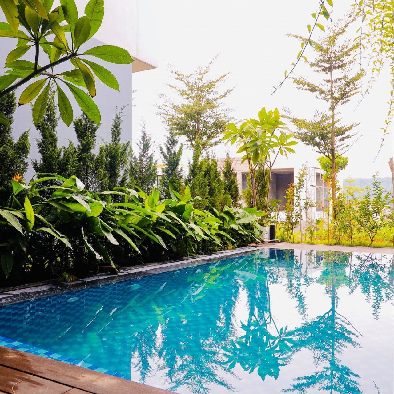Hồ bơi được bao quanh bơi cây xanh vô cùng sinh động, tươi mát