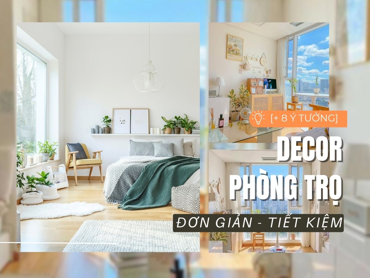 [8+ Mẹo] Decor phòng trọ đơn giản, đẹp tiết kiệm chi phí