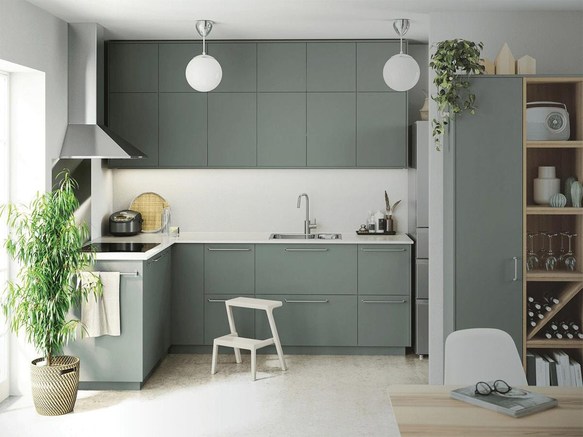 Nên trang trí cây xanh trong nhà bếp loại nào là phù hợp? 30 Chăm sóc cây trang trí trong nhà bếp