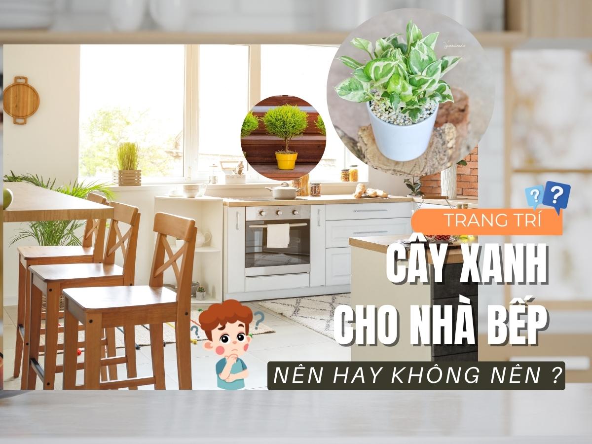 Nên trang trí cây xanh trong nhà bếp loại nào là phù hợp?