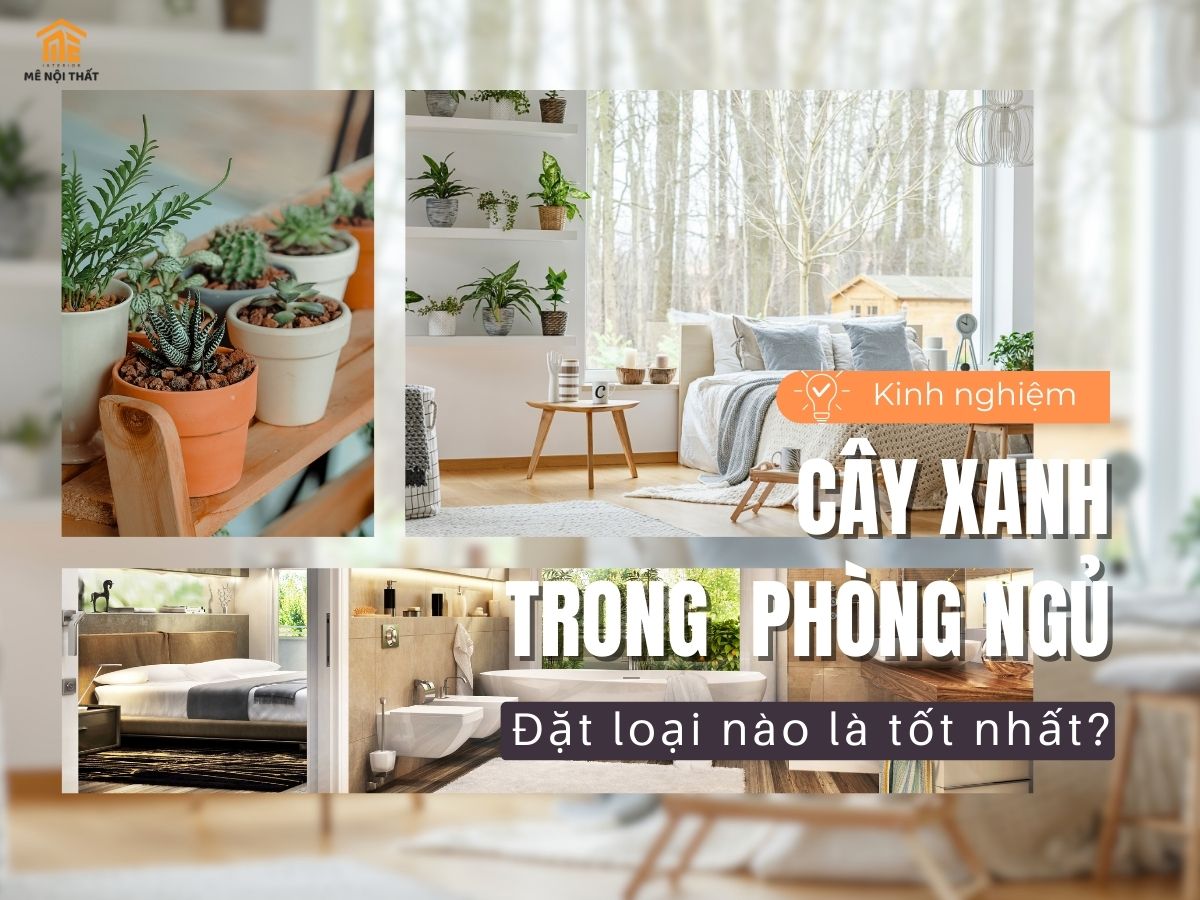 [Giải Đáp] Có nên đặt cây xanh trong phòng ngủ không ?