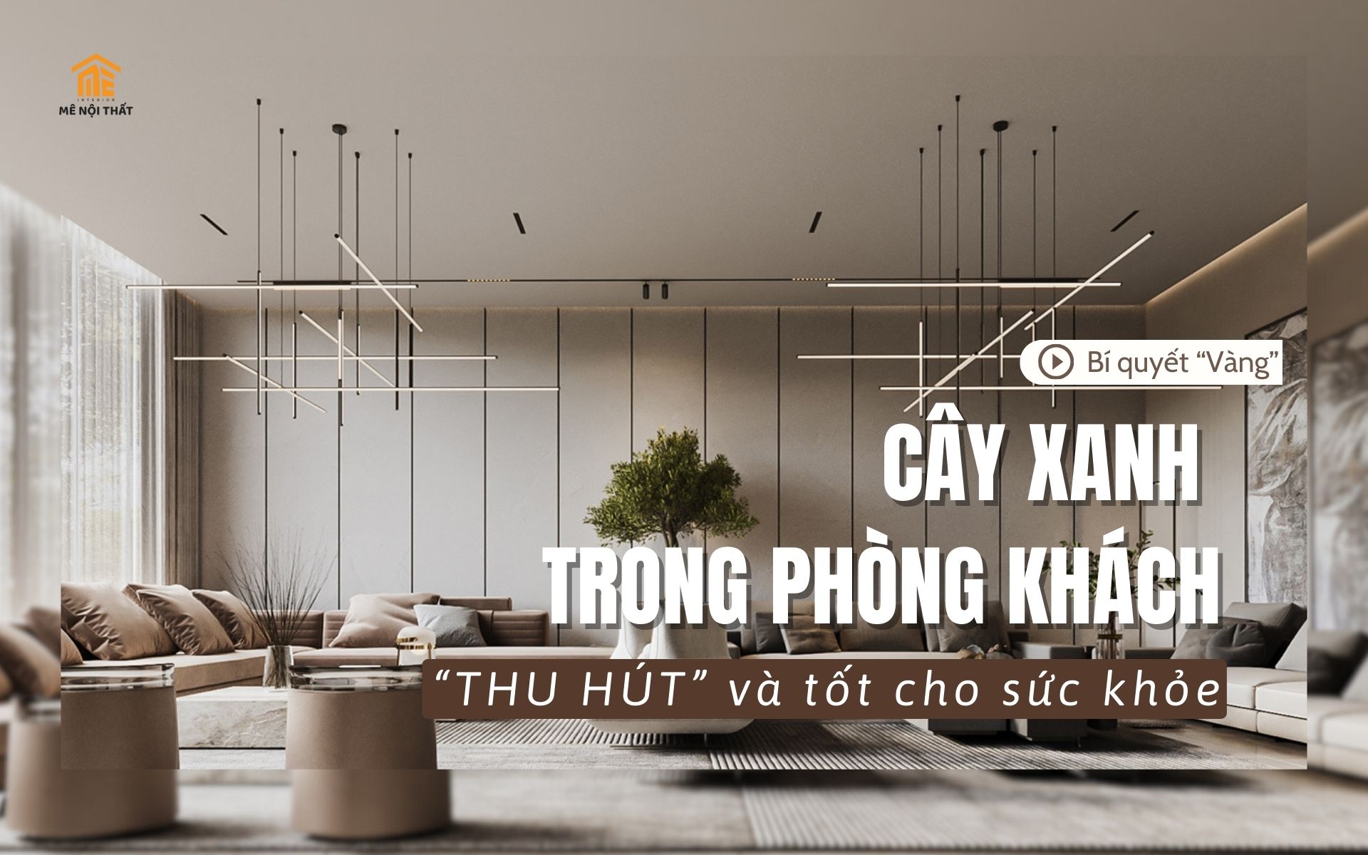 Bí quyết "Vàng' trang trí cây xanh trong phòng khách thêm thu hút và ấn tượng hơn Bí quyết "Vàng' trang trí cây xanh trong phòng khách thêm thu hút và ấn tượng hơn